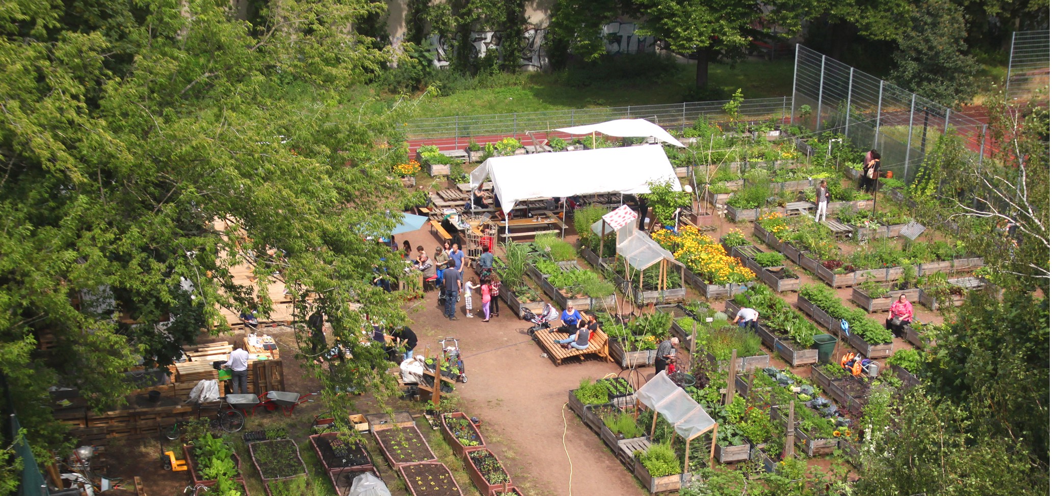 urban gardening