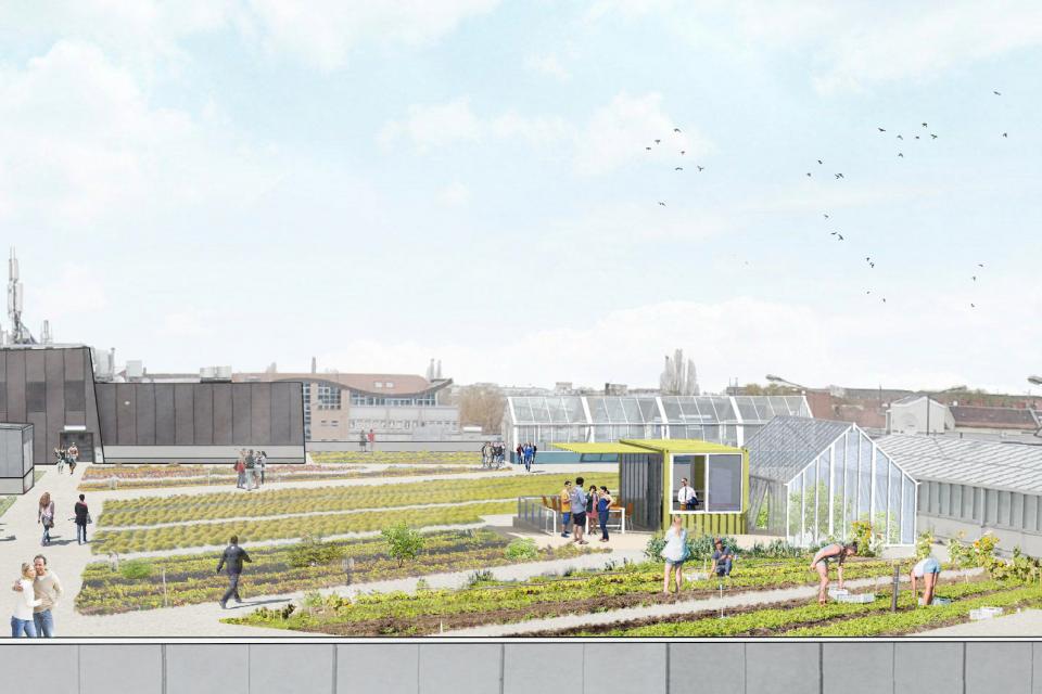 Parkdeck wird Dachfarm